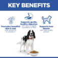 Hill's Science Plan Canine Medium Adult Dog Food Key Benefits