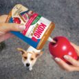 KONG Stuff'N Peanut Butter 170g angle 2