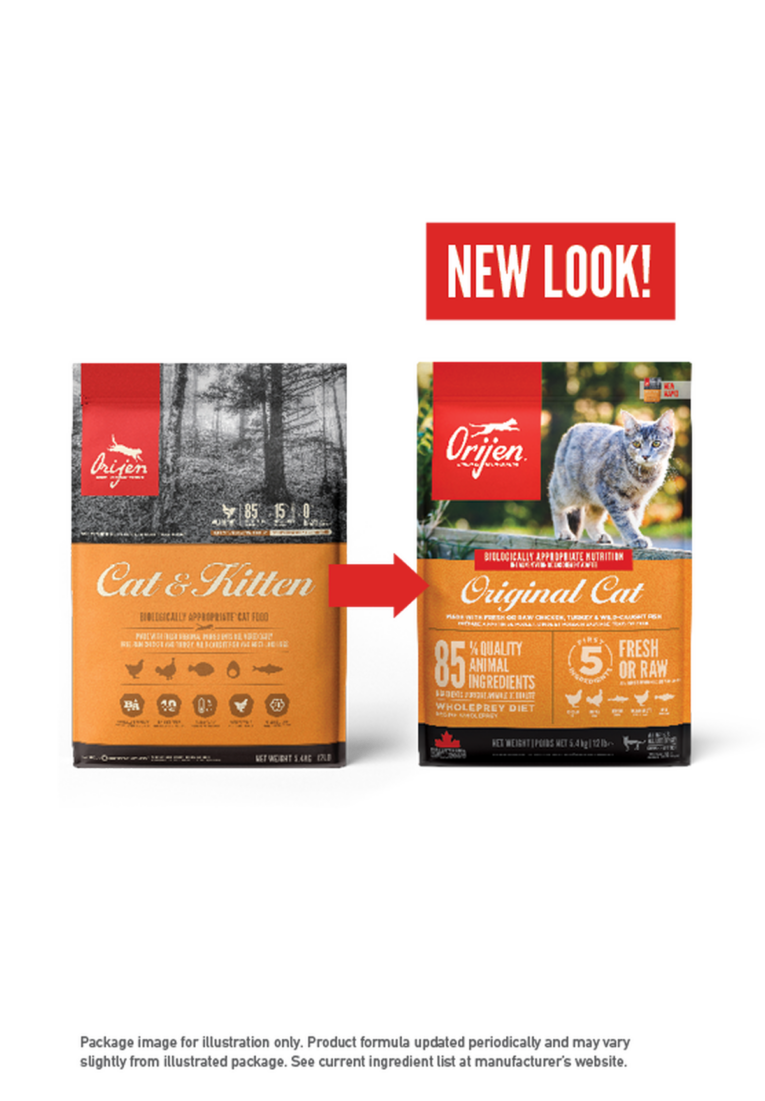 Orijen Original Cat Dry Food - kibble texture closeup