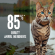 Orijen Six Fish Cat Dry Food - pack detail view