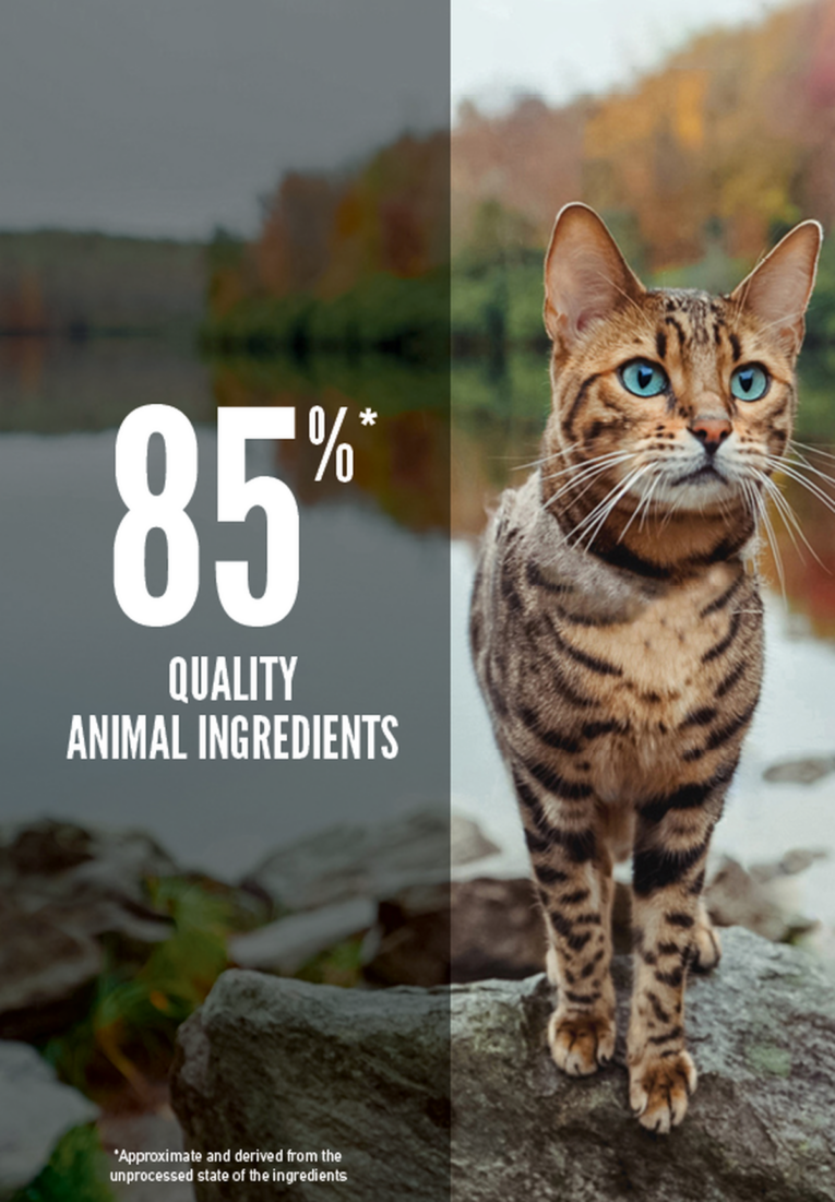 Orijen Six Fish Cat Dry Food - pack detail view