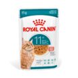 Royal Canin Ageing 11+/12+ Cat Food Pouch - Chunks in Gravy