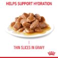 Royal Canin Digestive Care Thin Slices in Gravy - Plated