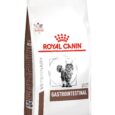 Royal Canin Veterinary Gastrointestinal Dry Cat Food - Angled View