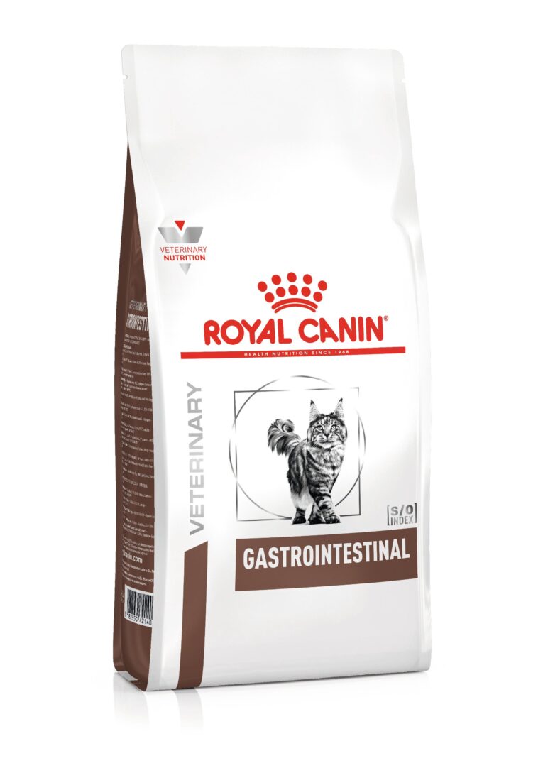 Royal Canin Veterinary Gastrointestinal Dry Cat Food - Angled View