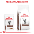 Royal Canin Veterinary Gastrointestinal Wet and Dry Cat Food Combo