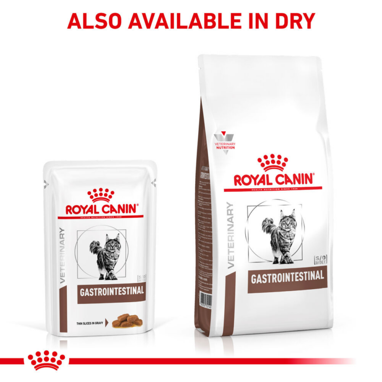 Royal Canin Veterinary Gastrointestinal Wet and Dry Cat Food Combo