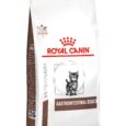 Royal Canin Veterinary Gastrointestinal Kitten Dry Cat Food - Angled View
