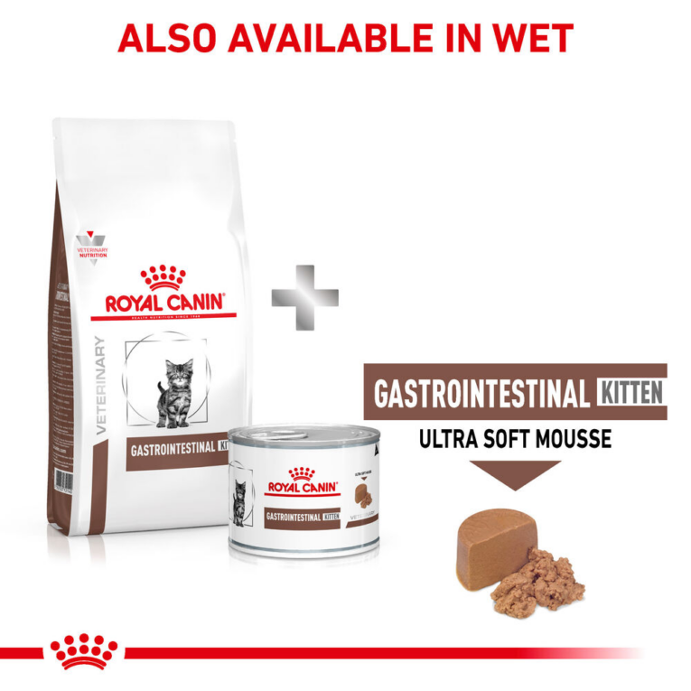 Royal Canin Veterinary Gastrointestinal Kitten Dry and Wet Cat Food Combo