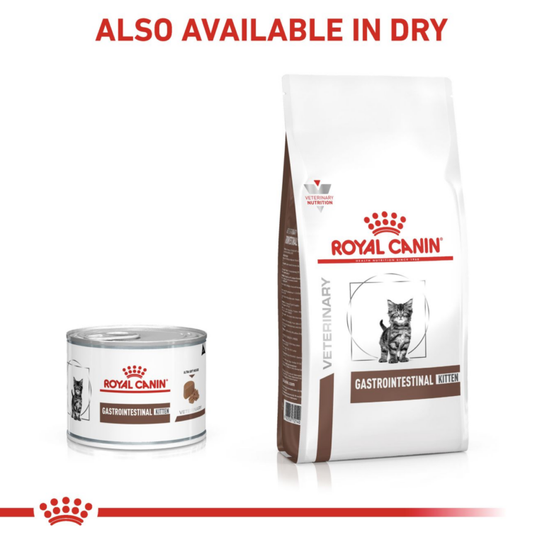 Royal Canin Veterinary Gastrointestinal Kitten Wet Mousse and Dry Food Combo
