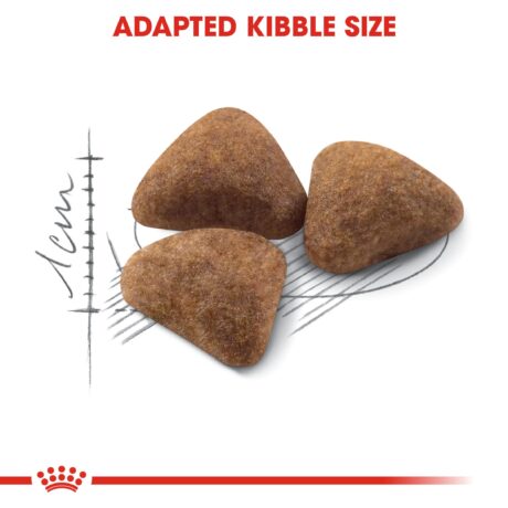 Royal Canin Indoor 27 Dry Cat Food - kibble texture