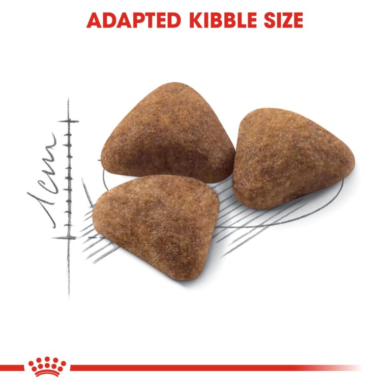 Royal Canin Indoor 27 Dry Cat Food - kibble texture