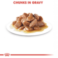 Royal Canin Instinctive 7+ Thin Slices in Gravy Cat Food - Plated