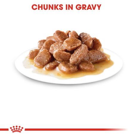 Royal Canin Instinctive Thin Slices in Gravy Cat Food - Plated
