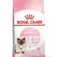 Royal Canin Mother & Babycat - Angled Pack