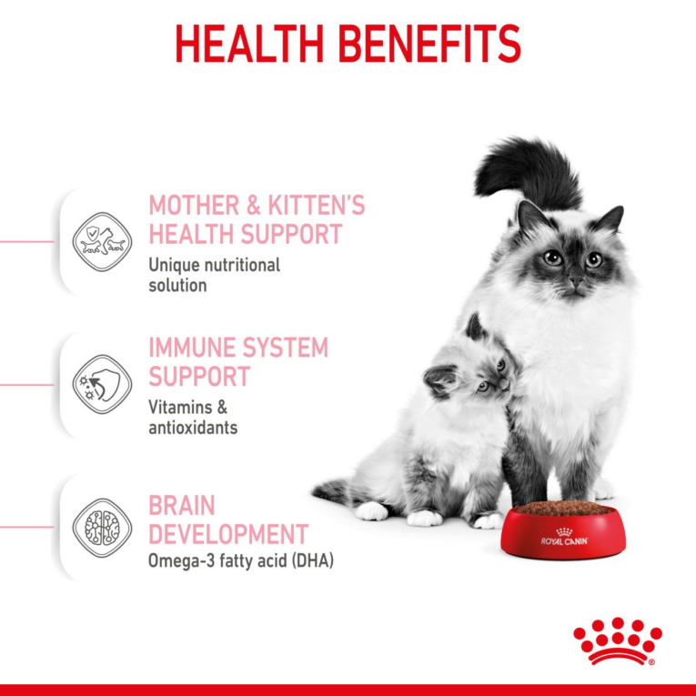 Royal Canin Mother & Babycat - Mother Cat and Kitten Eating