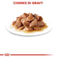 Royal Canin Sterilised Chunks in Gravy - plated