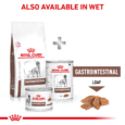 Royal Canin Gastrointestinal Dog Food - Also Available in Wet