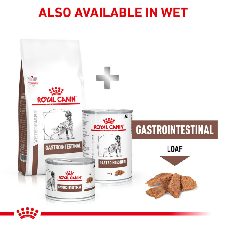 Royal Canin Gastrointestinal Dog Food - Also Available in Wet