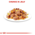 Royal Canin Instinctive Jelly 85g - Chunks in Jelly