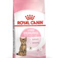 Royal Canin Kitten Sterilised Dry Cat Food - Angled Pack View