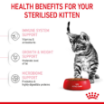 Royal Canin Kitten Sterilised Dry Cat Food - Kitten Eating from Bowl