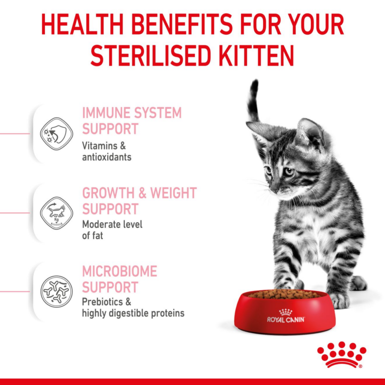 Royal Canin Kitten Sterilised Dry Cat Food - Kitten Eating from Bowl
