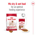 Royal Canin Medium Adult dry and wet food pack