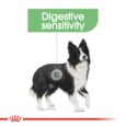 Royal Canin Medium Digestive Care - digestive sensitivity illustration