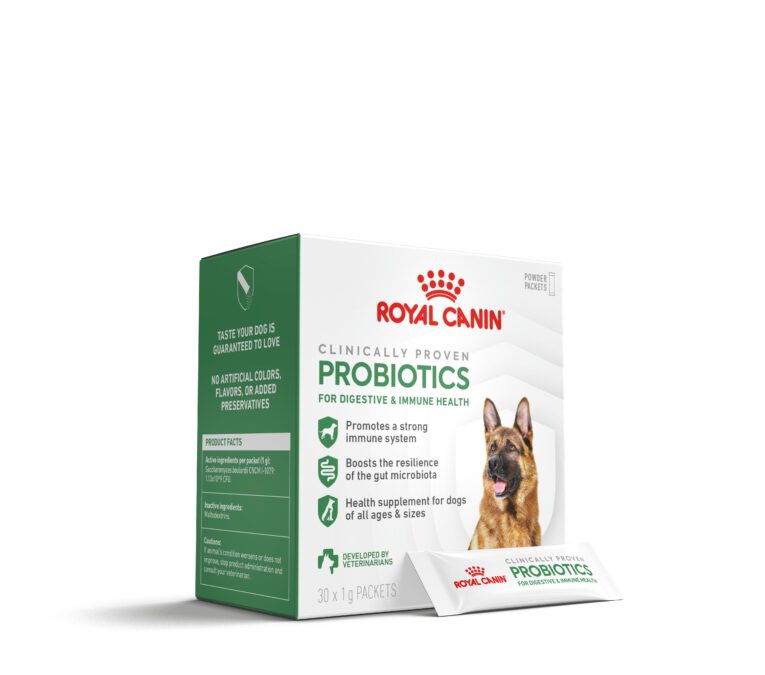 royal-canin-medium-mature-adult-7plus-kibble