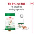 Royal Canin Mini Adult 8+ dry and wet food