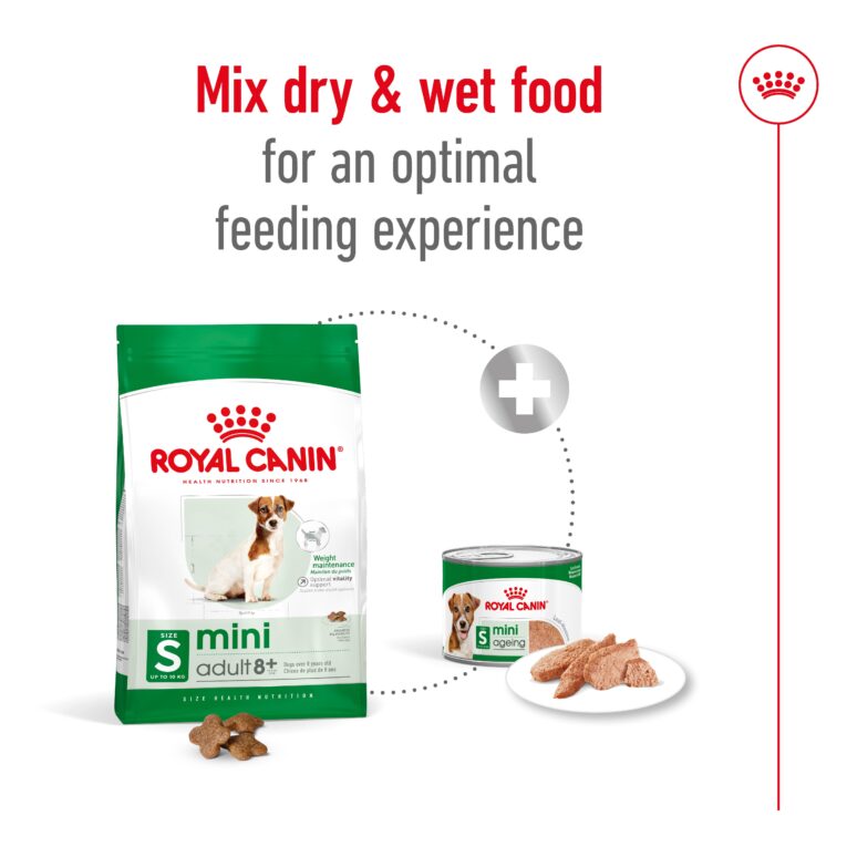 Royal Canin Mini Adult 8+ dry and wet food