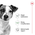 Royal Canin Mini Adult benefits