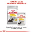 Royal Canin Mini Dermacomfort - mix dry and wet food