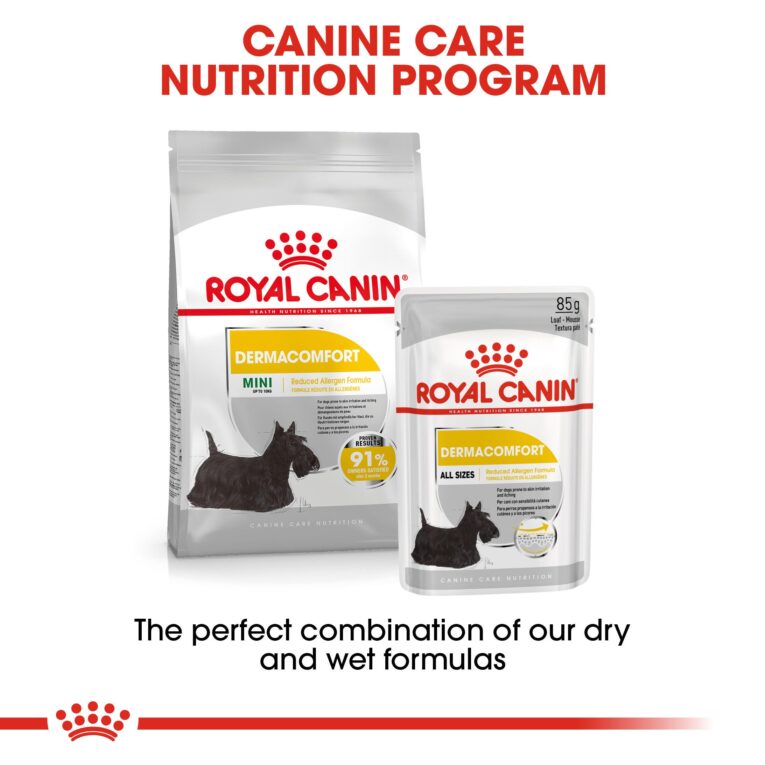 Royal Canin Mini Dermacomfort - mix dry and wet food