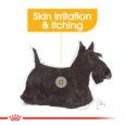 Royal Canin Mini Dermacomfort - skin irritation and itching benefit