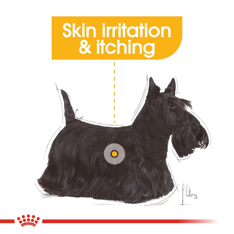 Royal Canin Mini Dermacomfort - skin irritation and itching benefit