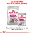 Royal Canin Mini Exigent - mix dry and wet food