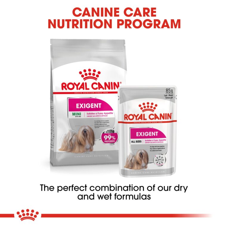 Royal Canin Mini Exigent - mix dry and wet food