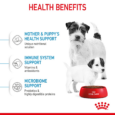 Royal Canin Mini Starter Mother & Babydog - mother and puppy health benefits with branded bowl