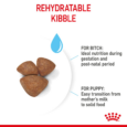 Royal Canin Mini Starter Mother & Babydog - rehydratable kibble detail