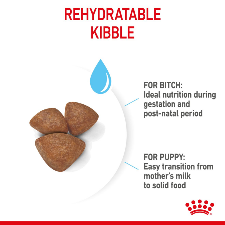 Royal Canin Mini Starter Mother & Babydog - rehydratable kibble detail