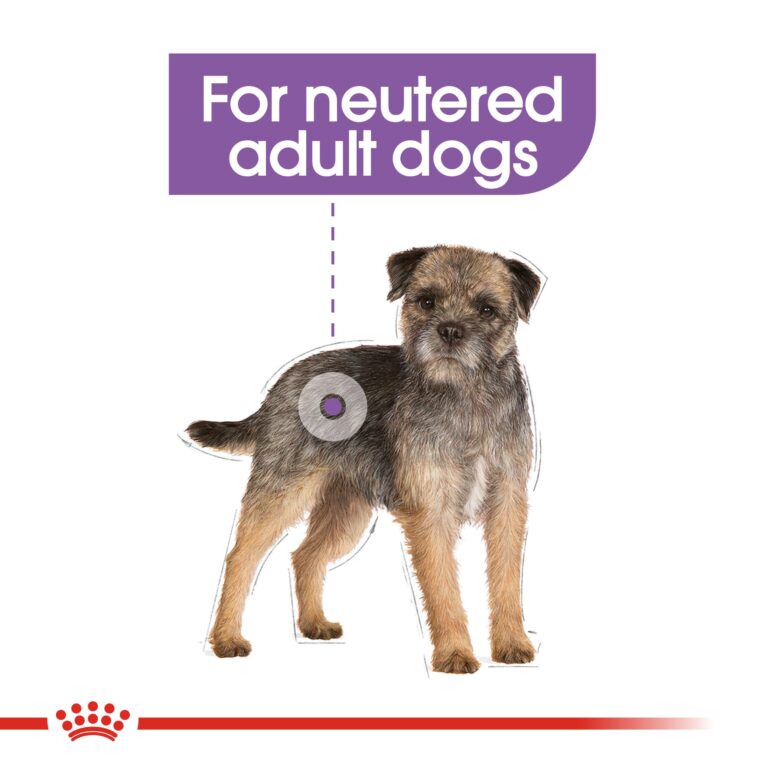 Royal Canin Mini Sterilised - for neutered adult dogs benefit