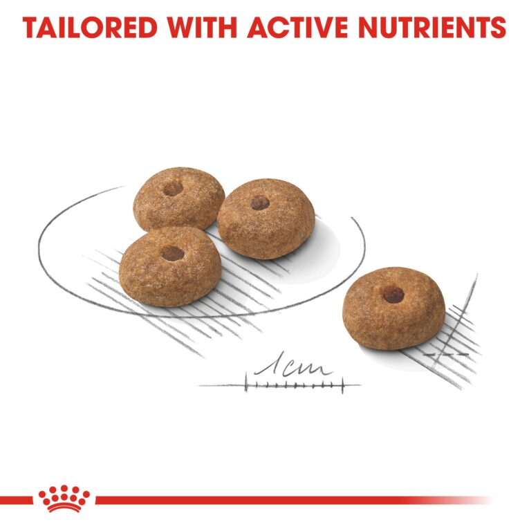 Royal Canin Mini Sterilised - kibble detail tailored with active nutrients