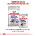 Royal Canin Mini Sterilised - mix dry and wet food