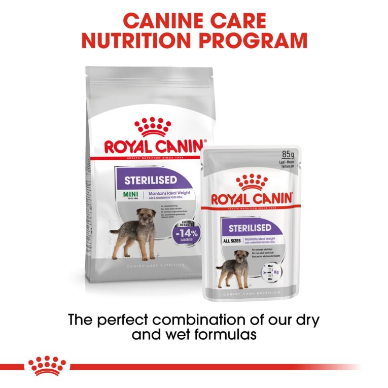 Royal Canin Mini Sterilised - mix dry and wet food