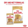 Royal Canin Pomeranian Adult Dog Food - Dry and Wet Formulas