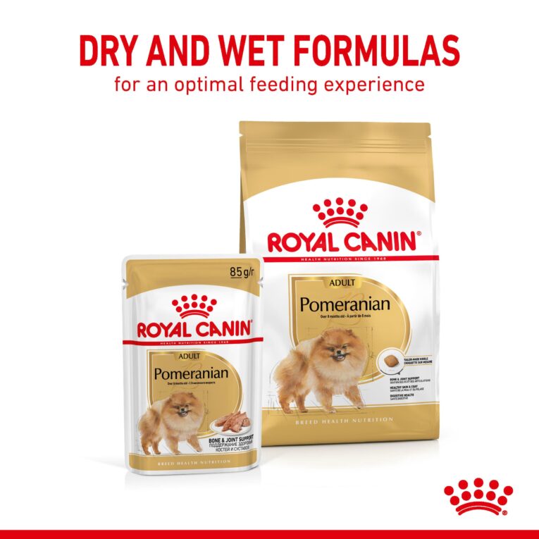 Royal Canin Pomeranian Adult Dog Food - Dry and Wet Formulas