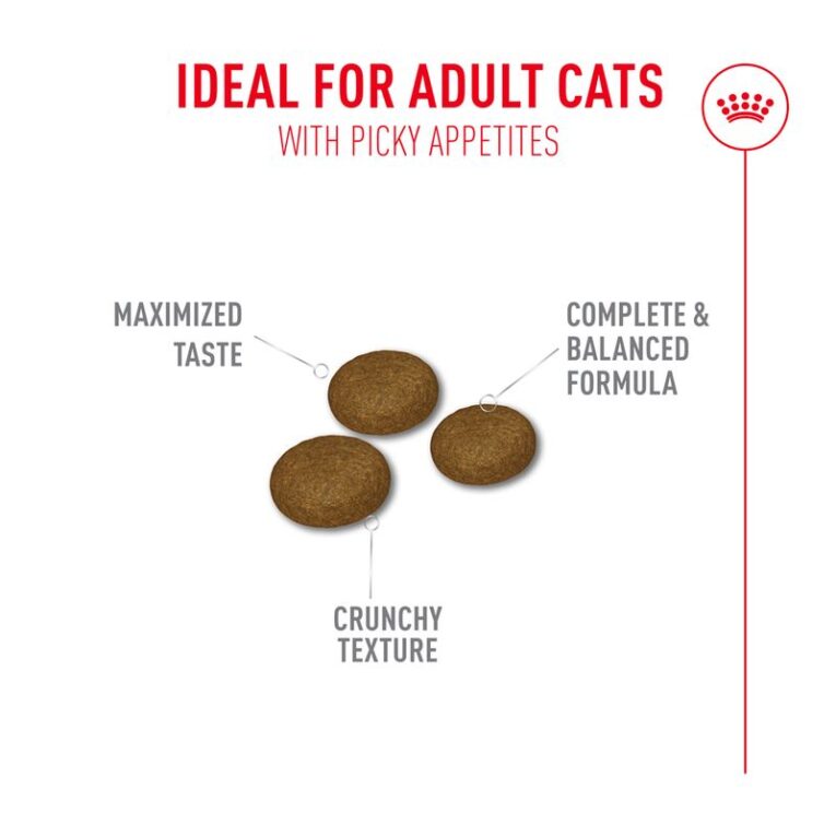 royal-canin-protein-exigent-kibble-feature