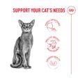 royal-canin-protein-exigent-support-needs